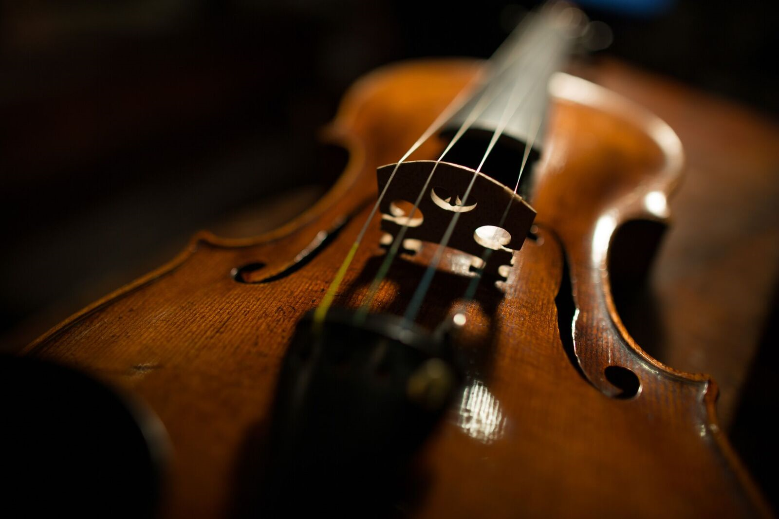Violins From Holocaust Coming to Phoenix Arizona Highways